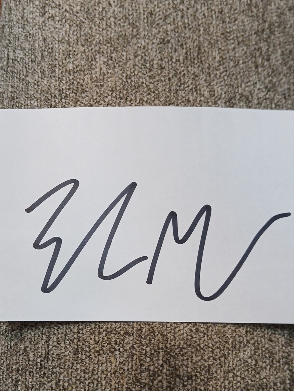 Elon Musk Autograph